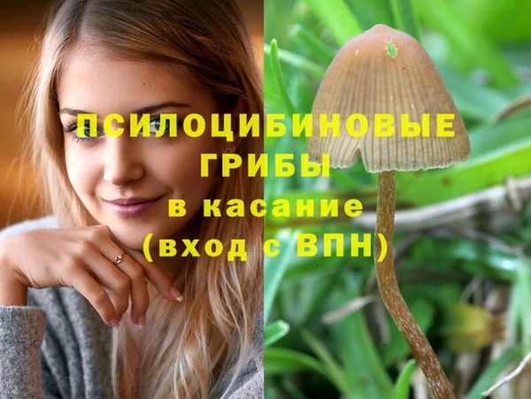 mdma Новодвинск