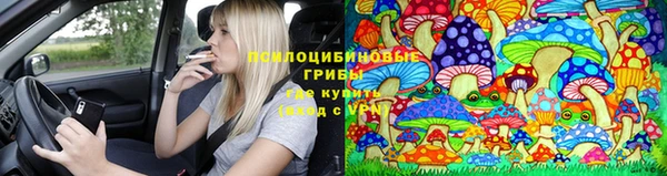дмт Новозыбков