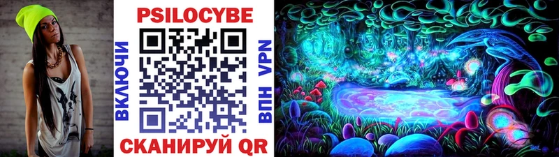 где продают наркотики  Лысково  Псилоцибиновые грибы Psilocybe 